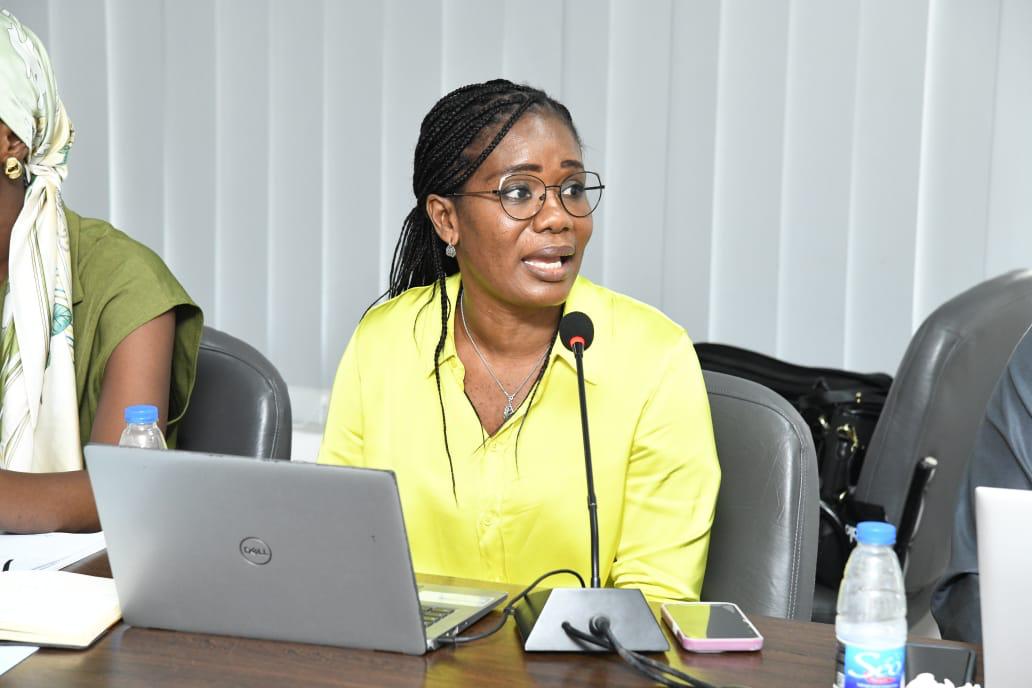 Atelier d'orientation sur la gestion des risques, Dakar — photo 9 sur 29