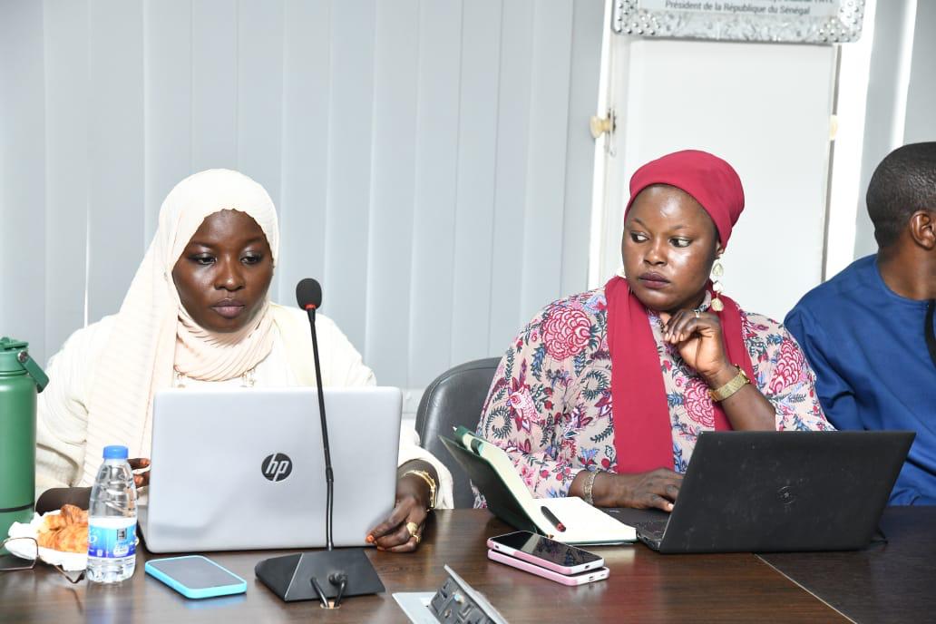 Atelier d'orientation sur la gestion des risques, Dakar — photo 10 sur 29